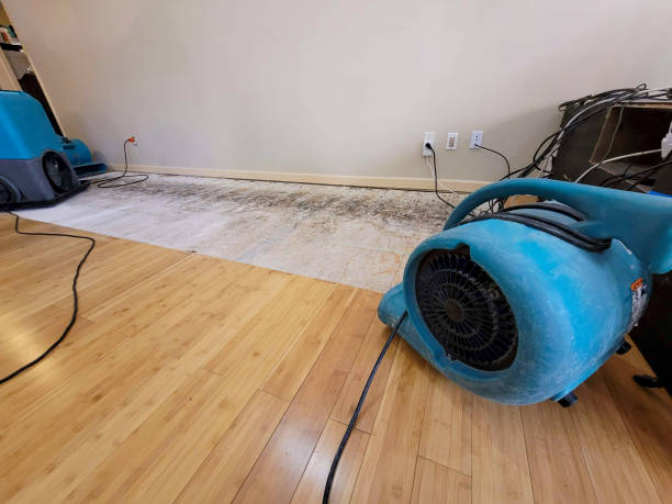 Reliable Water Damage Restoration contractor in Fayetteville, NC by Hirex Water Damage